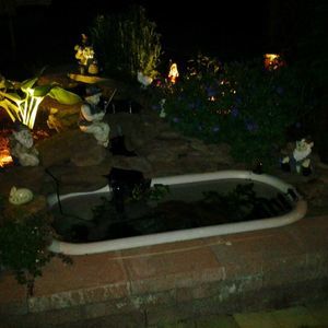 Meet your Posher, Barry